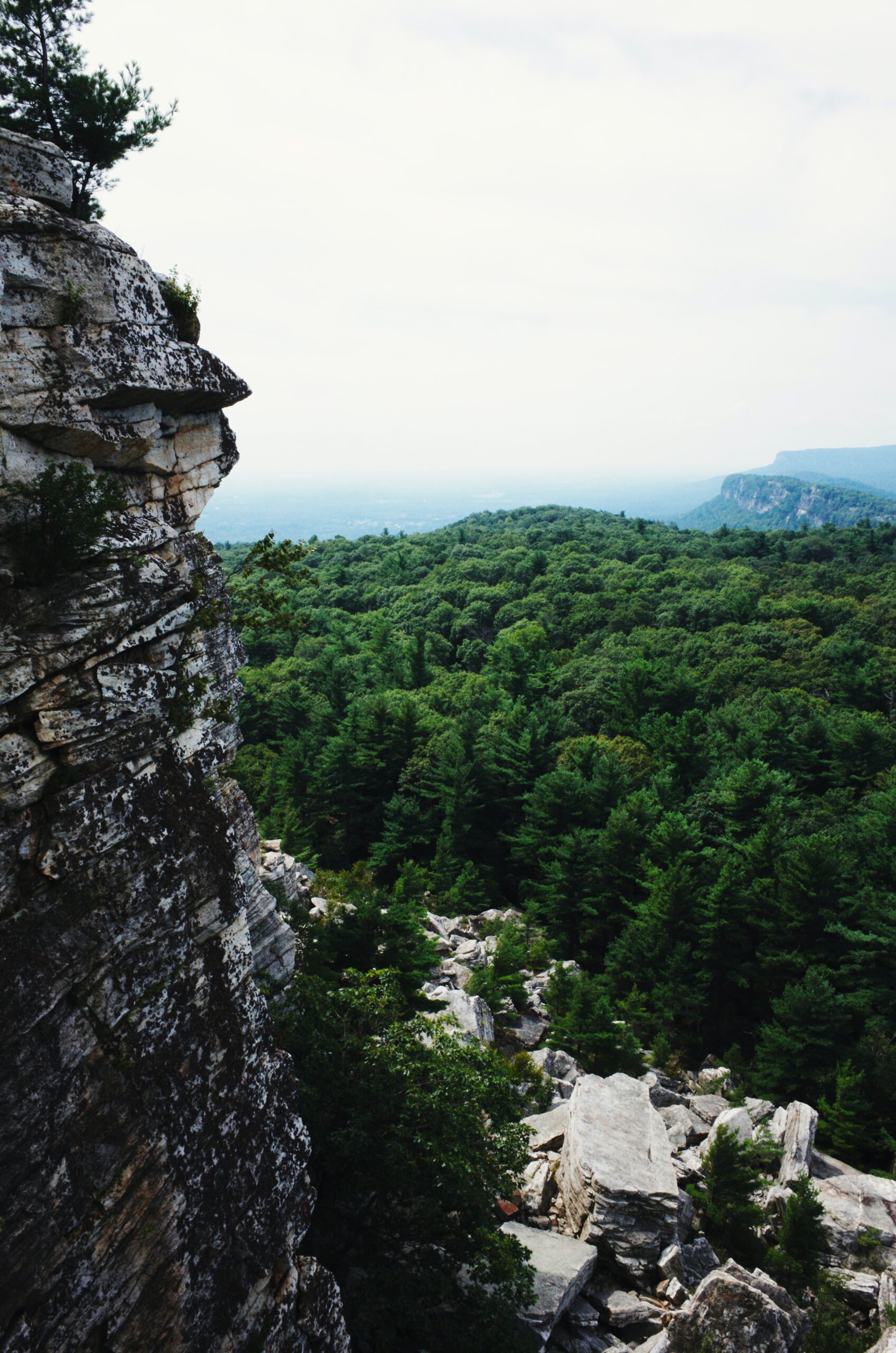 New Paltz